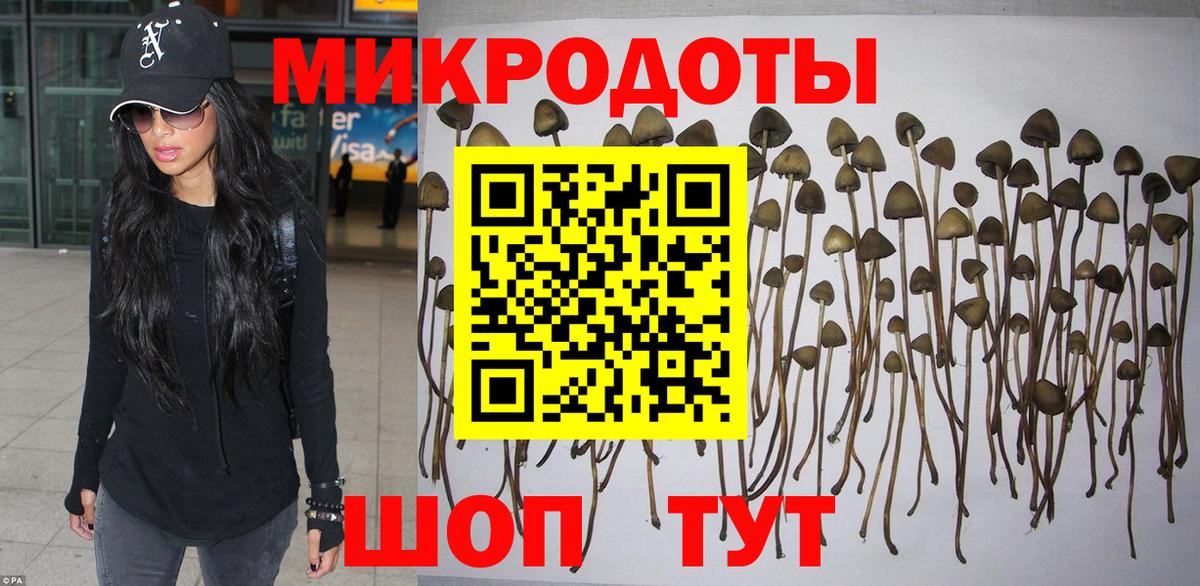 Димитровград  Псилоцибиновые грибы прущие грибы  Псилоцибиновые грибы Cubensis  Вход с VPN 